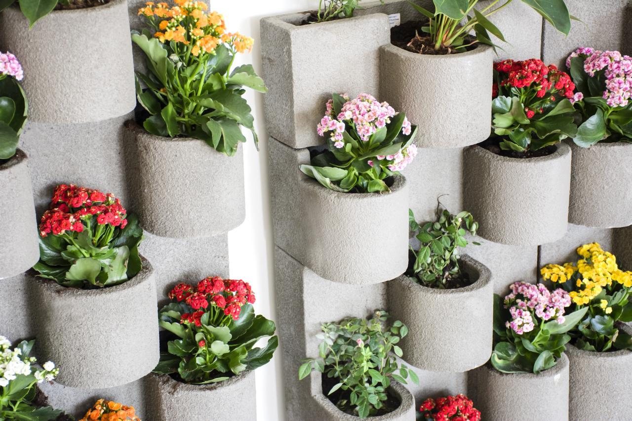Radisson Blu Resort, Al Khobar Half Moon Bay Exterior foto Vertical garden